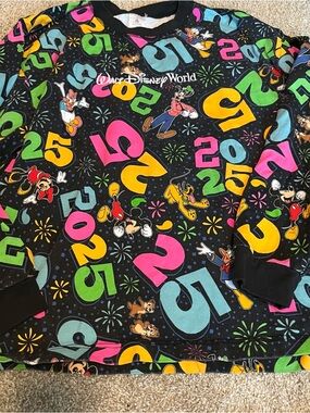 Walt Disney World 2025 Logo Sweatshirt